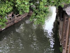 -乌镇东栅景区