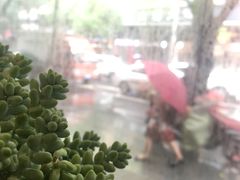 -金琴口腔·正畸种植全科(太升北路店)