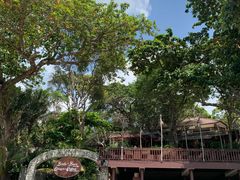 -卷心菜和避孕套餐厅(Pattaya)