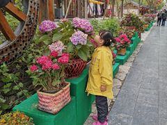-清明上河园-迎宾门售票处