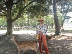 -奈良公园