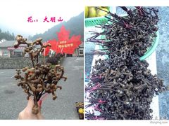 -大明山自然探索公园