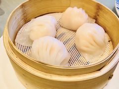 -金粤九号(李公堤店)