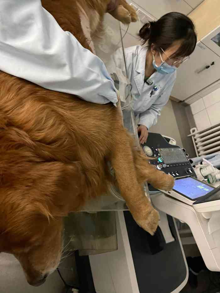 中國農業大學動物醫院