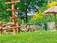 -北京野生动物园