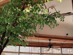 -蜜桃餐厅·伴山(湖滨商业街店)