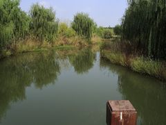 -南湖湿地公园