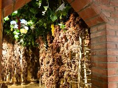 -新疆国际大巴扎