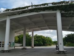 -福田红树林生态公园