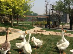 -北京宽沟会议中心