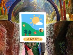 -沈阳海洋探索中心