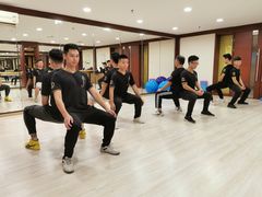 -温鉴良实用咏春拳