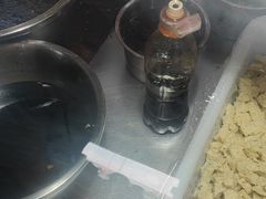 -八分场凉皮老店(正宗)