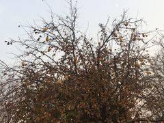 -河南省黄河迎宾馆