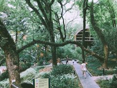 -香港大学