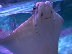 -沈阳海洋探索中心