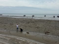 -万尾金滩