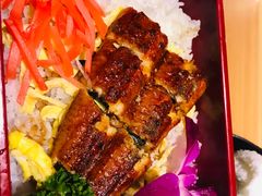 -割烹旭日本料理(龙湖狮山天街店)