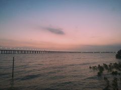 -宝安西湾红树林湿地公园