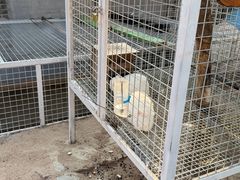 -云峰山自然风景区