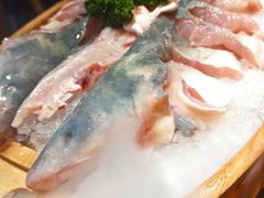 -吃城都·鱼蛙火锅(西玉龙街店)