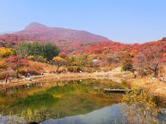 -周口店坡峰岭风景区