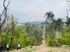 -青龙山国家森林公园