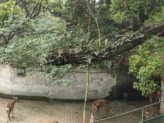 -台州府城(江南长城)