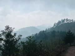 -四明山国家森林公园