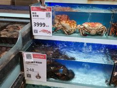 水产区-盒马鲜生(红莲店)