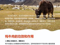 -无锡天鹏食品城