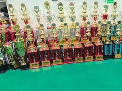 -长春乐奇平衡车儿童体能运动中心