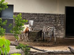 -苏州上方山国家森林公园