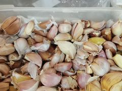 一头蒜-津门生茂包子铺