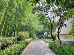 -上海市保健医疗中心