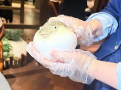 -肆月河豚·淮扬菜·湘菜(华天店)