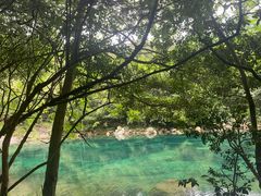 -石台牯牛降景区