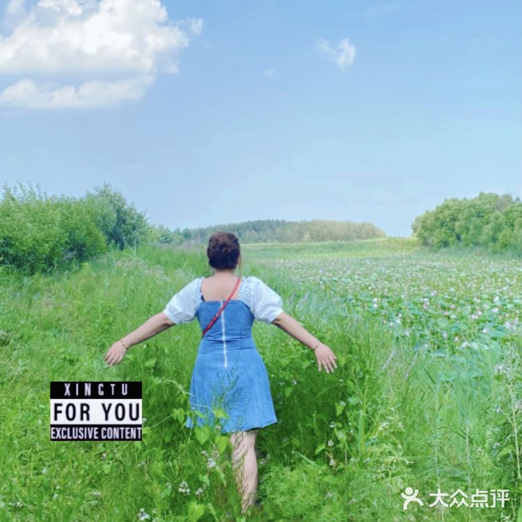 看荷花的好地方！