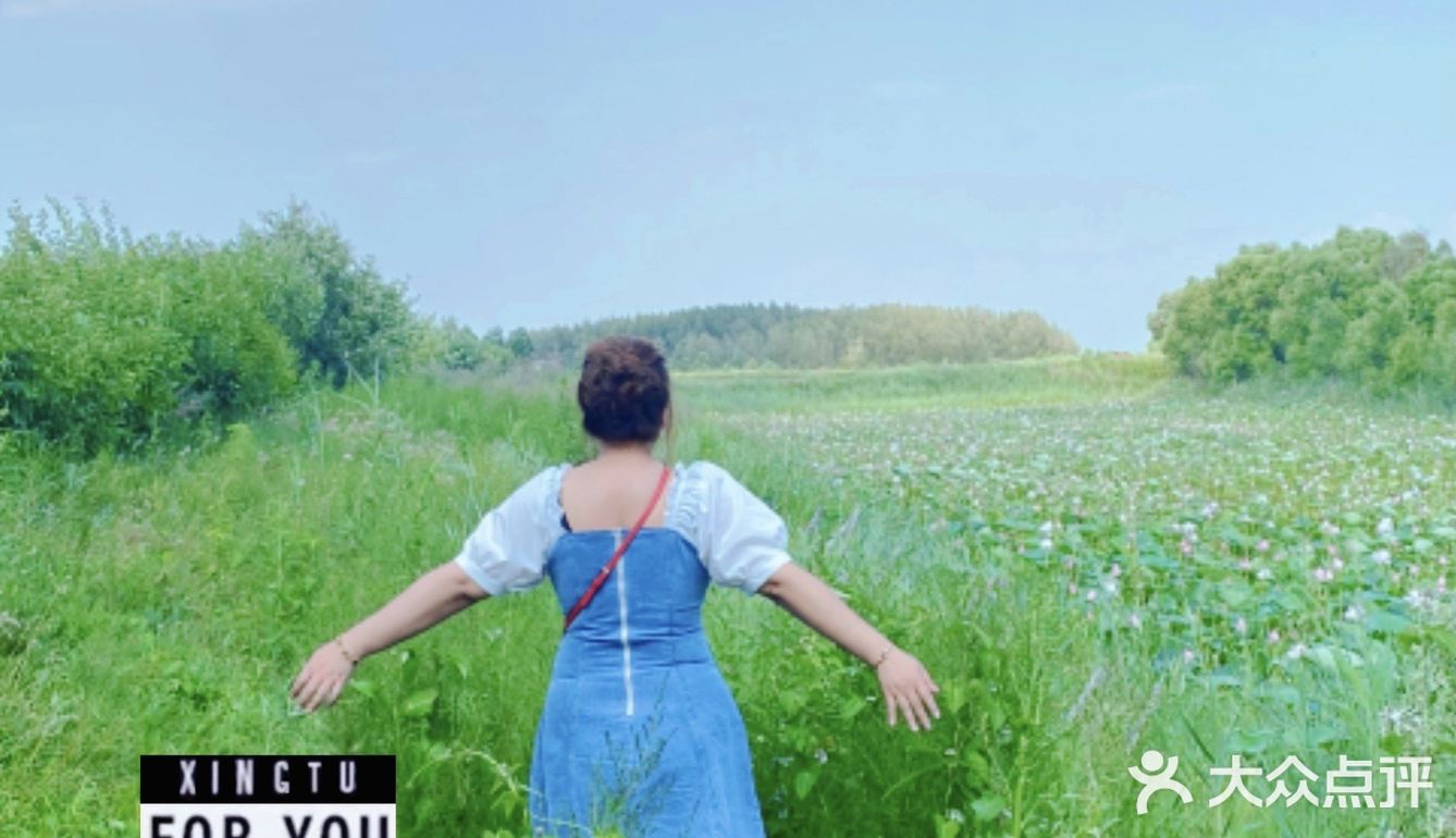 看荷花的好地方！