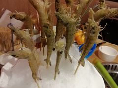 明虾-尚海豆捞(乐虹坊店)