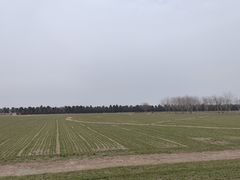 -汉长安城未央宫国家考古遗址公园