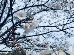 -江南大学(蠡湖校区)