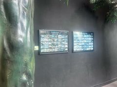 -屯门公园