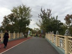 -上海长兴岛郊野公园