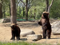 -北京野生动物园