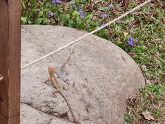 -云溪植物园