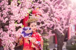 -金夫人婚纱摄影(华南店)