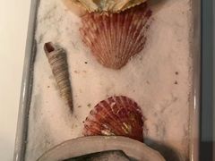 -量子制造·元创意料理(李公堤店)