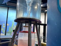 -中国宋庆龄青少年科技文化交流中心