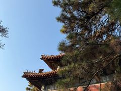 -沈阳市东陵公园